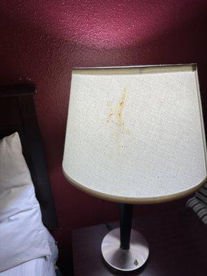 Lampshade ewww