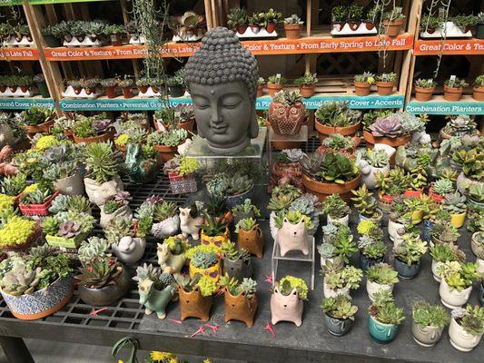 Tony's Farm & Garden Center