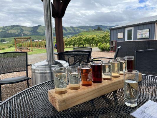 cider flight