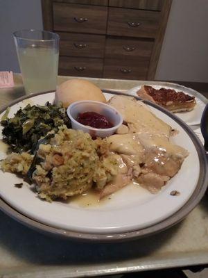 This was what was for Thanksgiving !  Just 1 of the meals that was any good.