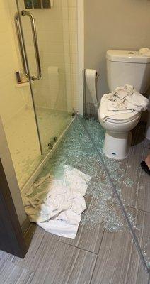 The shower that shattered on my body