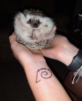 Hedgehog tattoo with my hedgehog!