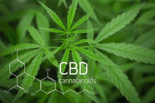 DO LIFE BETTER ! CBD FROM MEDICAL CANNABIS!