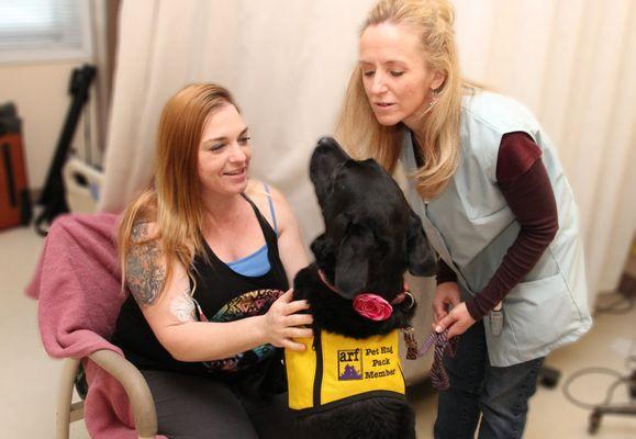 Therapy pets cheer up patients