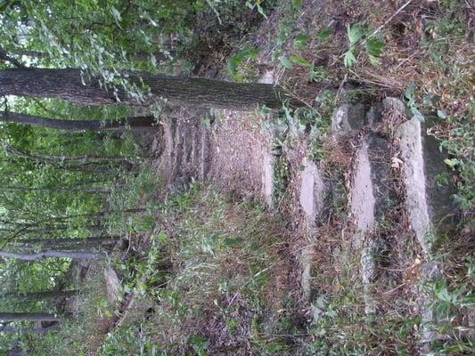 stone stairway along the trail