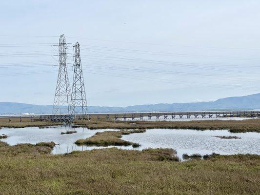 Baylands Nature Preserve