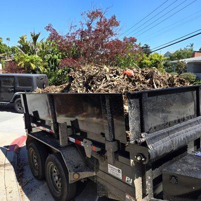 1 flat rate price to clean up your yard of weeds, junk trash, overgrown bushes or trees, dog poop and more.