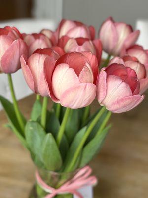 Coral pink tulips