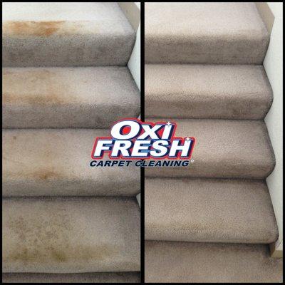 Stairs - Carpet Cleaning