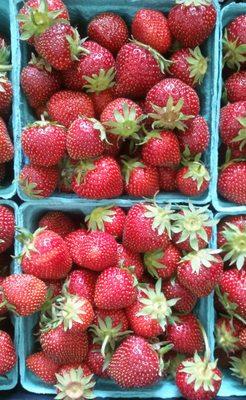 Local, organic strawberries in early summer!