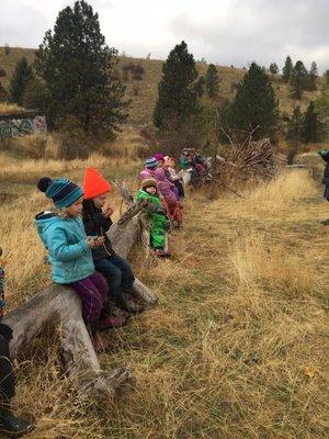 Kindergarteners having a snack on the "bird" branch