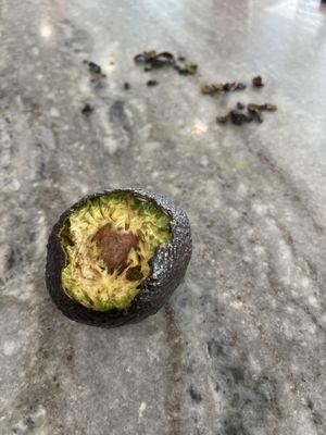 Rat eaten avocado. Not the first of our week...