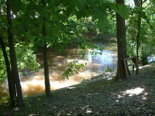 Along the river