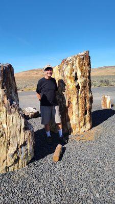 Petrified log at Ginkgo Gem shop.