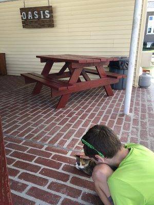 Patio seating (and friendly stray cat)