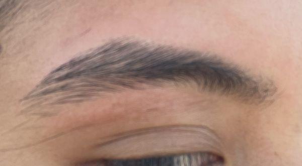 This is how thick my eyebrow is supposed to look like at the end of