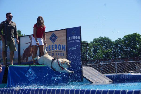 Dock Dogs