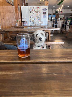 Brewery Dog.