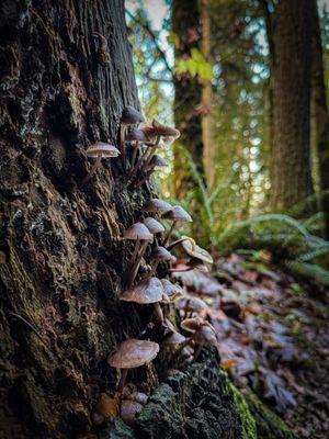 Cold Creek Natural Area