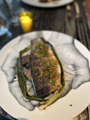 Branzino