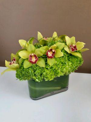 Supa green contempo by West Hollywood Florist