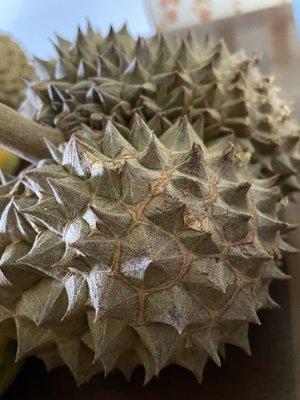 my dad paid 35 dollars for this durian but it's not edible!  Shame on the person who sold him this fruit.