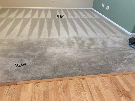 Before and after carpet cleaning!