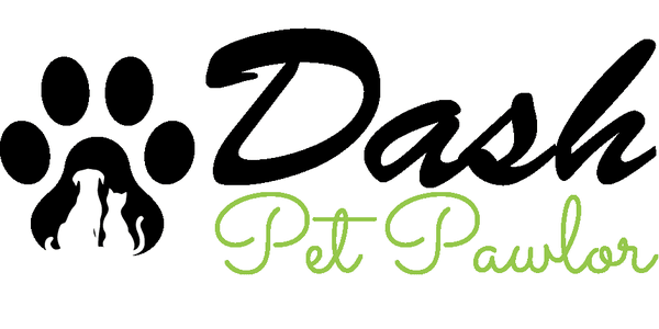 Dash Pet Pawlor is not just another dog grooming business. It is a space where your dog will feel pampered and safe. Our compassionate groom