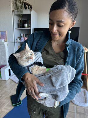 Simba loves our cat cozy purrito wrap