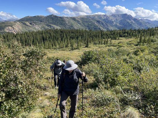 Hiking around off trail in the Denali backcountry