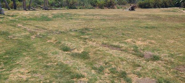 Tire tracks on the "chipping area"