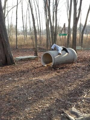 Doggie tunnels