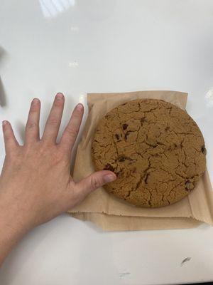 These cookies are HUGE!!