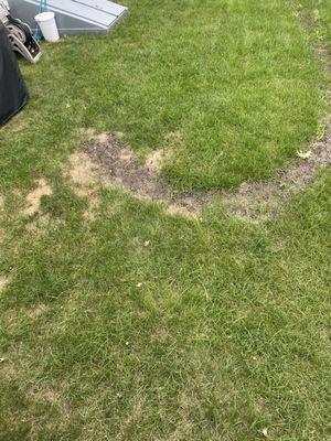 This is what Groundhog Turf Care call fixed and Usable.