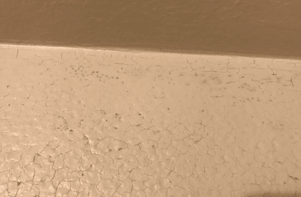 Bathroom top corner of wall up close. Looks like they just paint over existing mold.