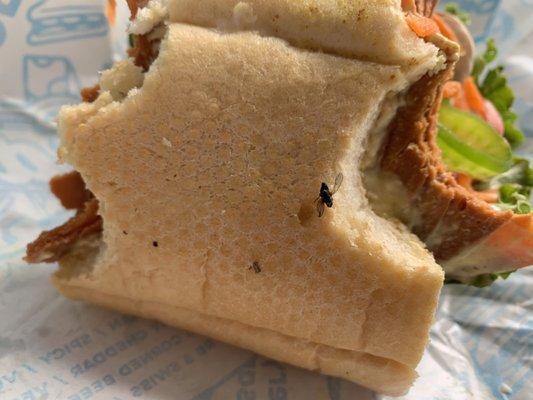 There is a dead fly literally baked into my vegan sandwich