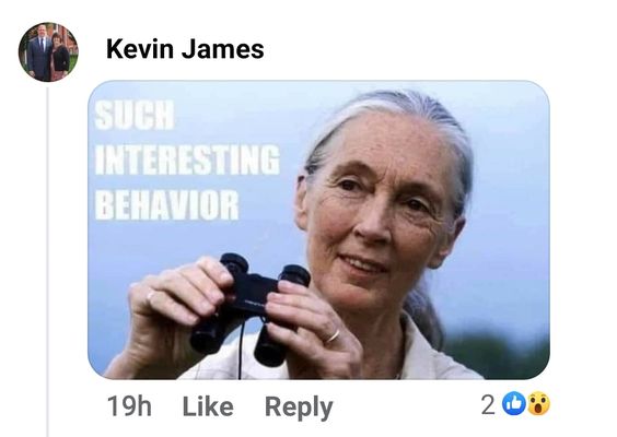 Kevin James Landscape