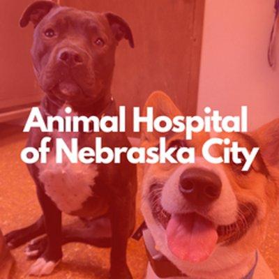 Animal Hospital of Nebraska City