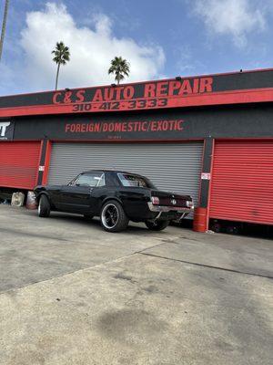 Here we have a beautiful 65 Mustang that came in for maintenance