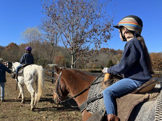 East Fork Stables & Trails