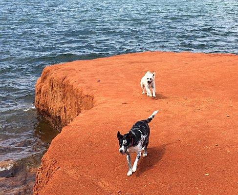 Avoid Georgia Red Clay.  It Stains!