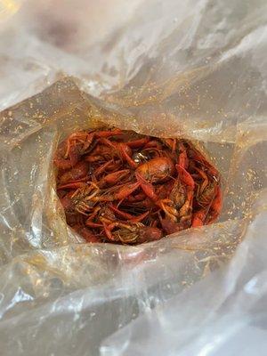 Bag of bugs...