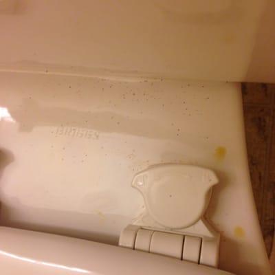 Dirt and urine on the toilet