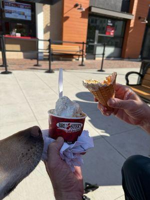 Large cup of deliciousness and waffle cone $8