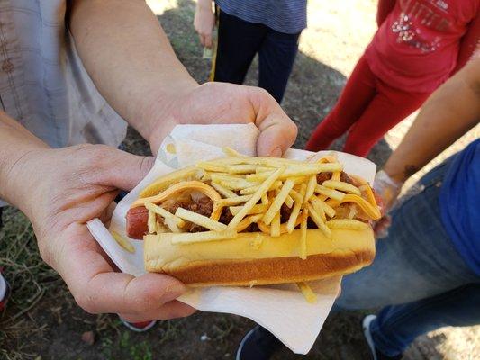 PR style hotdog with potato sticks on top