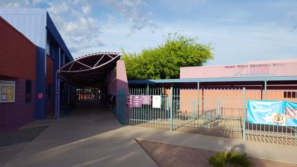 Vai School Desert Willow