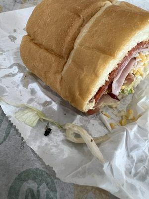 So disgusting when I open my subway. The fly on the side.