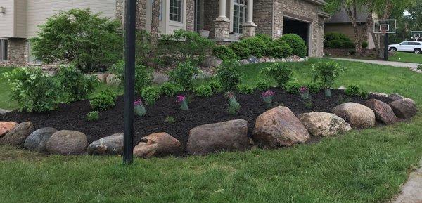 Re-landscaped bed that previously had lots of rocks and overcrowded sick trees.