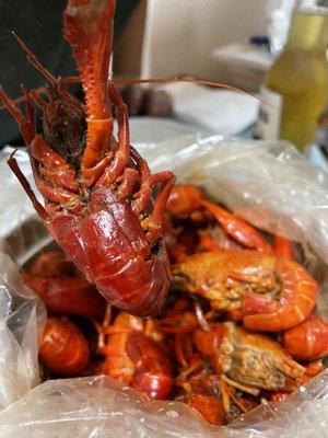 Cajun Seafood