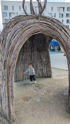 My kid was in awe at the branch structures!